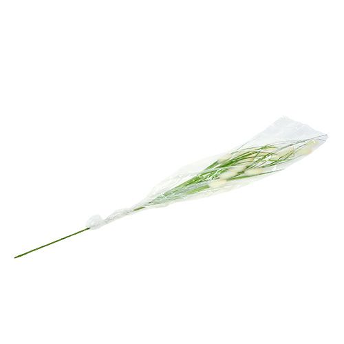 Floristik24 Herbe de décoration verte L. 85 cm