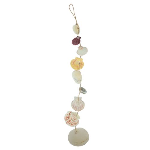 Floristik24 Support décoratif décoration coquillage maritime naturel Ø5–10cm 70cm