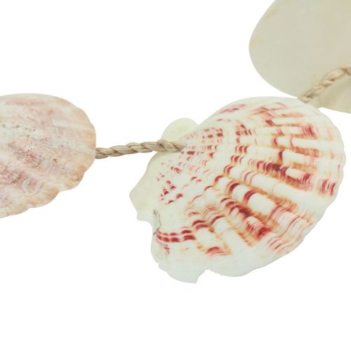 Article Support décoratif décoration coquillage maritime naturel Ø5–10cm 70cm