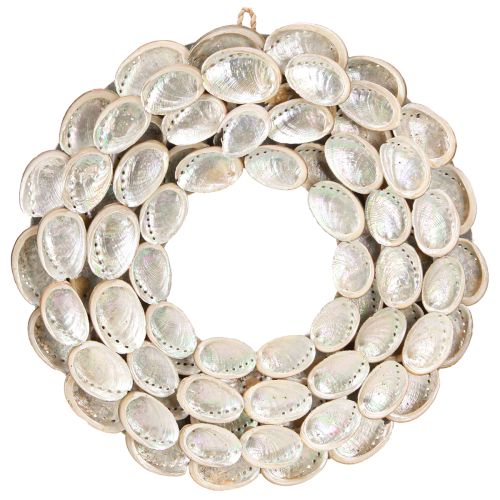 Couronne décorative bois ormeau escargots blanc naturel H30cm