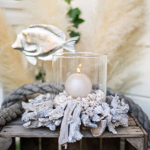 Floristik24 Couronne décorative couronne naturelle décoration en bois de racine blanc naturel Ø30cm