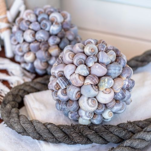 Article Boule décorative coquillage escargots de mer boule décoration naturelle maritime Ø19cm