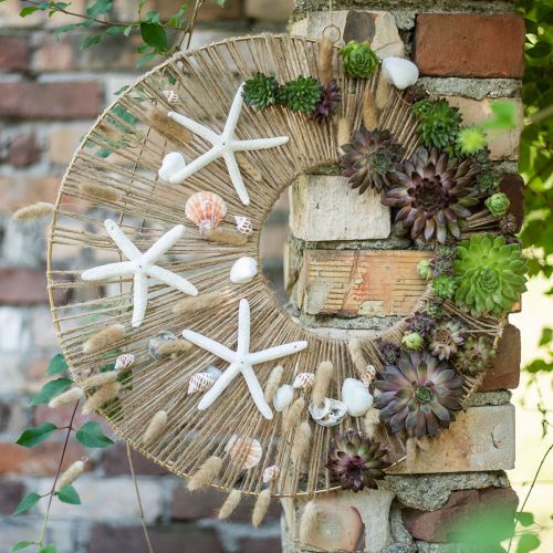 Floristik24 Déco Coquillage Blanc Véritables coquillages dans un filet de raphia déco maritime 400g