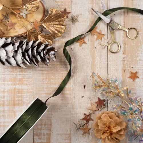 Ruban en taffetas vert mousse 10 mm x 50 m pour décoration et emballage | Floristik24.fr