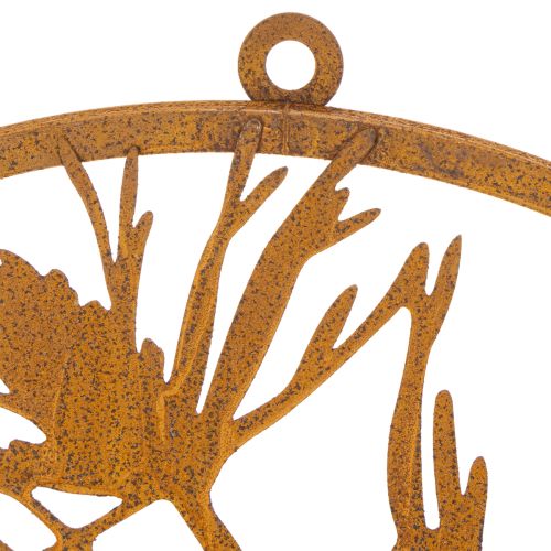 Anneau décoratif en métal, décoration murale en acier patiné, branche de pin, Ø38cm | Floristik24.fr