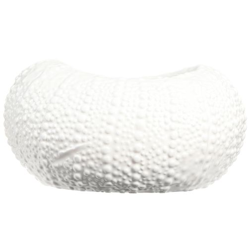 Article Bol décoratif ovale maritime en céramique blanc 19x15x8,5cm
