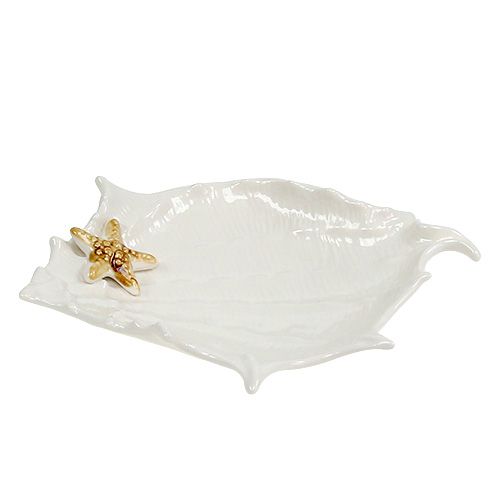 Floristik24 Coupe décorative coquillage avec étoile de mer 22 cm