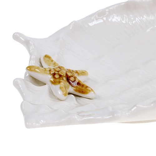 Floristik24 Coupe décorative coquillage avec étoile de mer 22 cm
