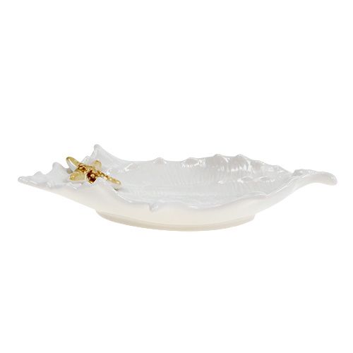 Floristik24 Coupe décorative coquillage avec étoile de mer 22 cm