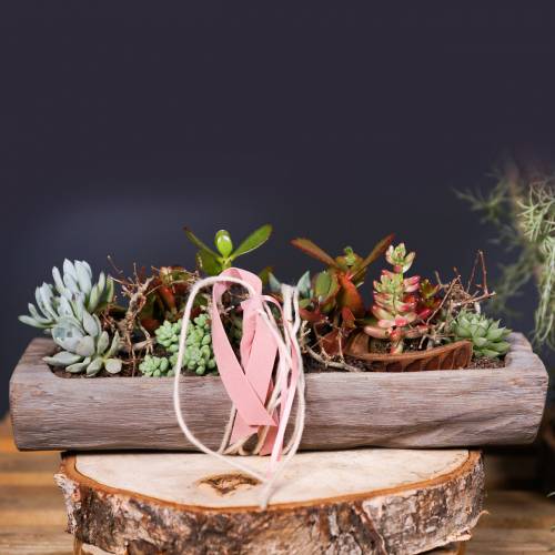 Floristik24 Bol décoratif en bois de paulownia 37cm x 14cm H7cm