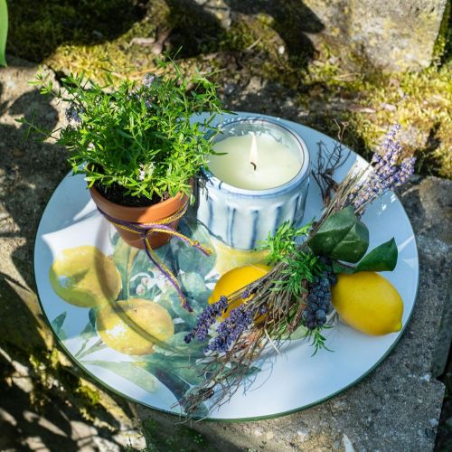 Article Assiette décorative, méditerranéenne, assiette en métal avec branche de citronnier Ø34cm