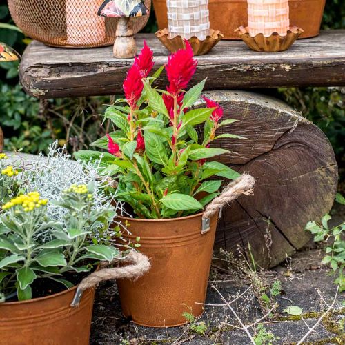 Floristik24 Pot décoratif avec anses, décoration automne, bol en métal patiné Ø20cm H19cm