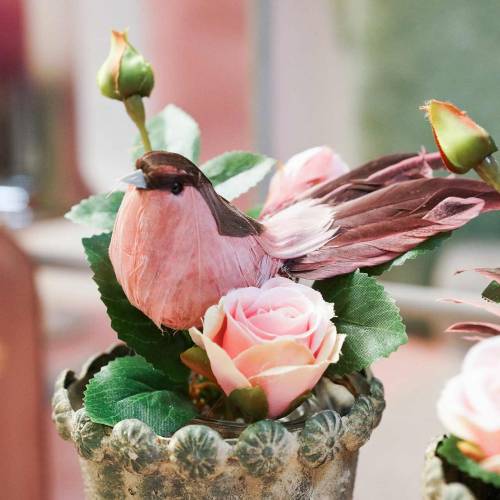 Floristik24 Plume oiseau sur fil rose 12cm 4pcs