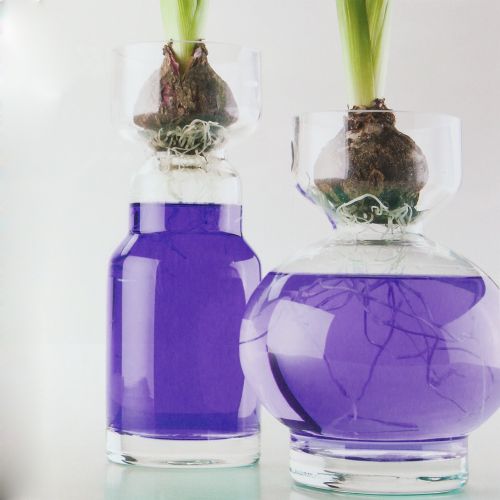 Colorant pour eau mauve 150 ml
