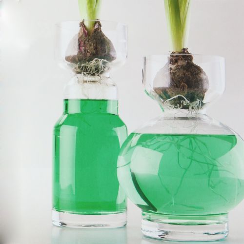 Floristik24 Vert d'eau décoratif 150ml