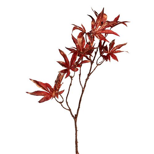 Floristik24 Broche déco rouge foncé avec mica 52cm