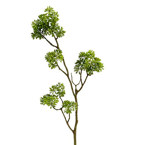 Floristik24 Branche déco verte 80cm
