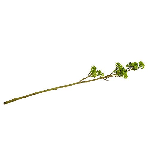 Floristik24 Branche déco verte 80cm