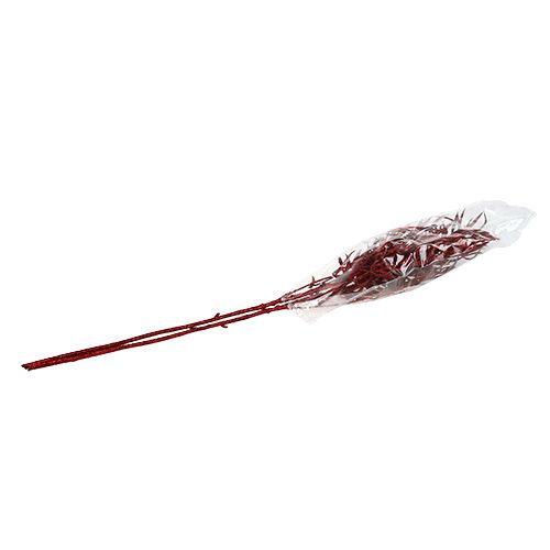 Floristik24 Branche déco rouge avec mica 69cm 2 pcs
