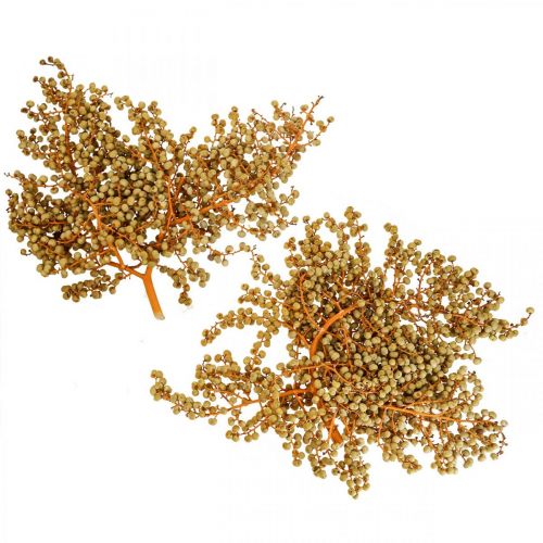 Floristik24 Branches décoratives baies de chanvre séchées palmier Uva naturel 1kg