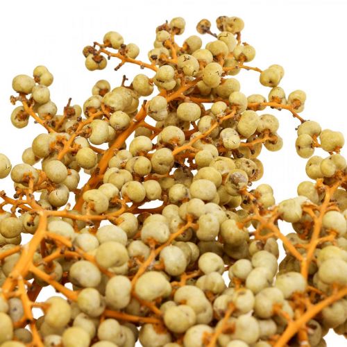 Floristik24 Branches décoratives baies de chanvre séchées palmier Uva naturel 1kg