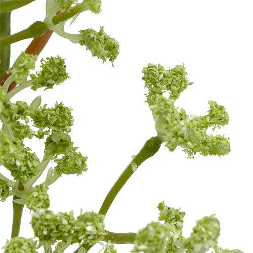 Floristik24 Branche décorative verte L. 43 cm 4 p.
