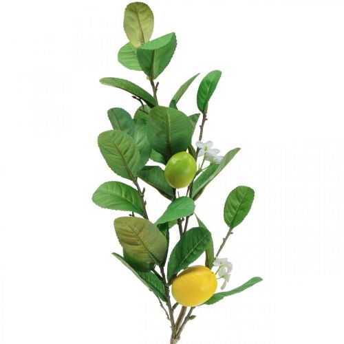 Article Branche de citronnier déco avec fleurs et fruits H68cm