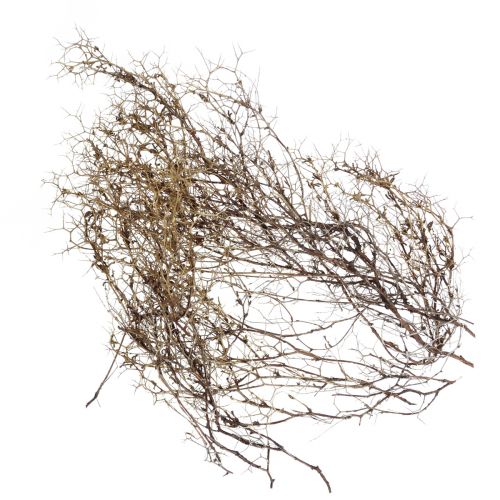 Article Branches déco Iron Bush branches décoration naturelle bois nature 250g