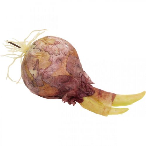 Floristik24 Déco oignons avec racines légumes artificiels 7.5/10cm 9pcs