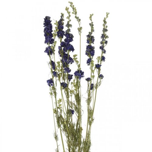 Article Delphinium séché, fleuristerie sèche, bleu delphinium L64cm 25g