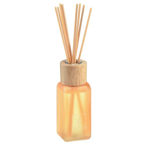 Floristik24 Diffuseur de parfum d&#39;ambiance verre gingembre bâtons parfumés Camila 100ml