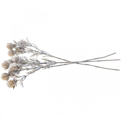 Floristik24 Branche de chardon branche décorative glacée artificiellement hiver 55cm 3pcs