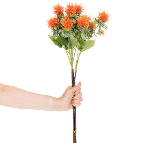 Fleur artificielle Chardon teinté orange 55 cm - Lot de 4 tiges | Floristik24.fr