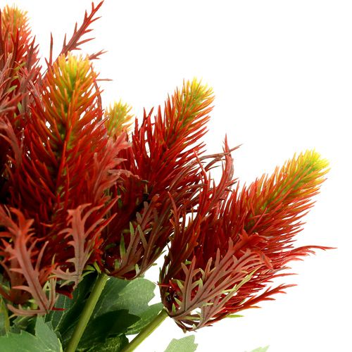 Floristik24 Chardon rouge-vert 20cm 12pcs