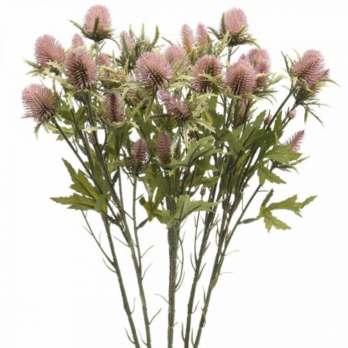 Floristik24 Chardon Artificielle Tige Fleur Rose 10 Têtes De Fleurs 68cm 3pcs