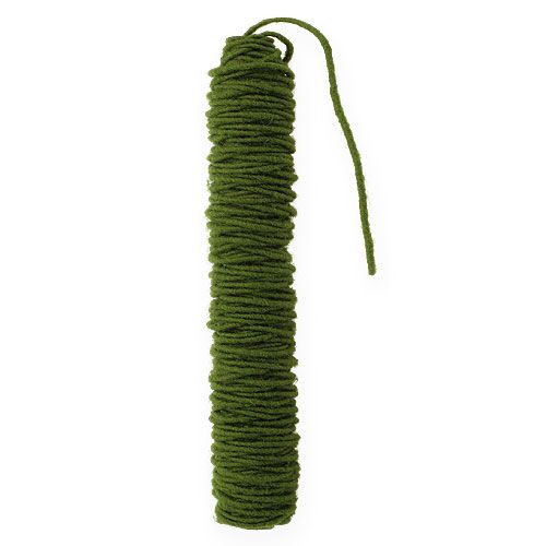 Floristik24 Fil de mèche cordon feutre cordon laine vert mousse Ø5mm 50m