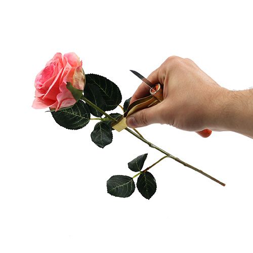 Floristik24 Extracteur d&#39;épines de rose avec couteau