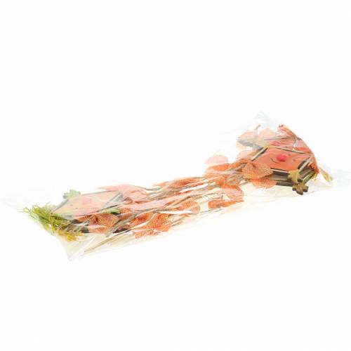 Floristik24 Bouchon déco dragon 39.5cm 6pcs
