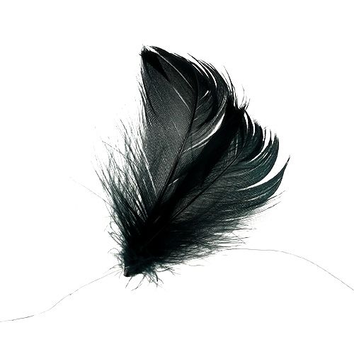 Floristik24 Plumes sur fil Noir 10m