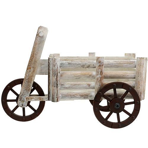 Article Plantation tricycle bois blanc H31,5cm