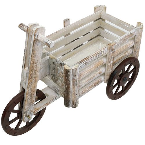 Floristik24 Plantation tricycle bois blanc H31,5cm
