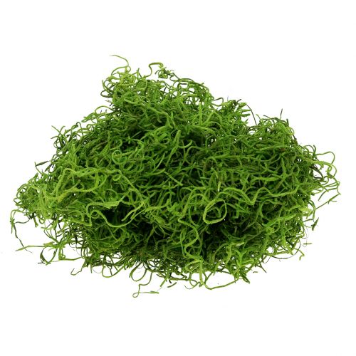 Floristik24 Jungle mousse vert printemps 250g