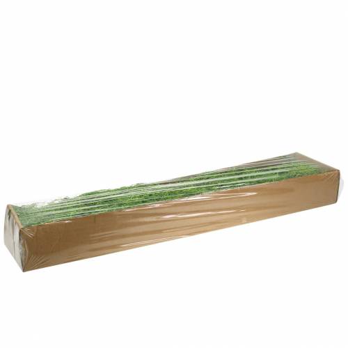 Floristik24 Jungle mousse vert printemps 250g