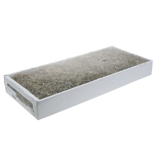 Floristik24 Mousse de jungle naturelle 250g