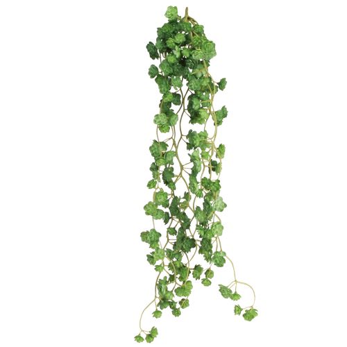 Article Plantes artificielles suspendues Echeveria vertes L12cm L50cm