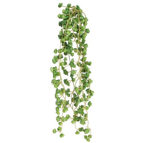 Article Plantes artificielles suspendues Echeveria vertes (l 12 cm, L 50 cm)