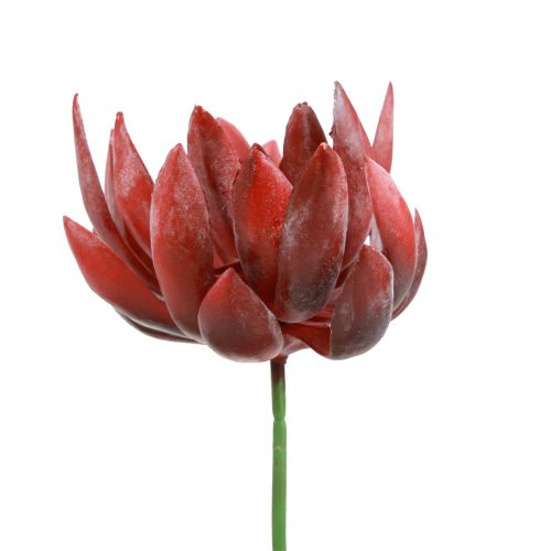 Plantes Vertes Artificielles Succulentes Echeveria Rouge Ø12cm 19,5cm