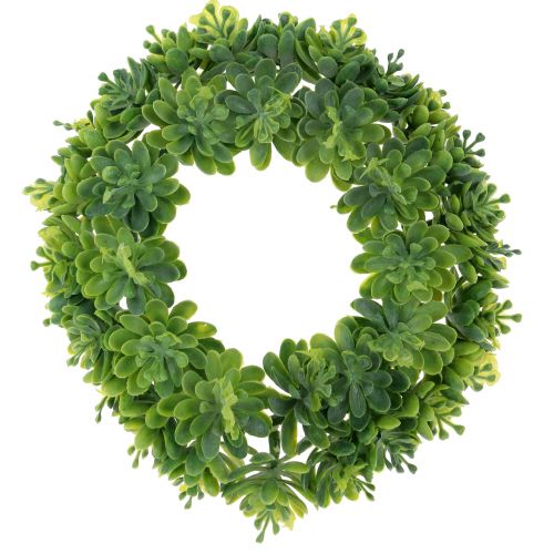 Couronne Echeveria verte Ø18cm 4pcs