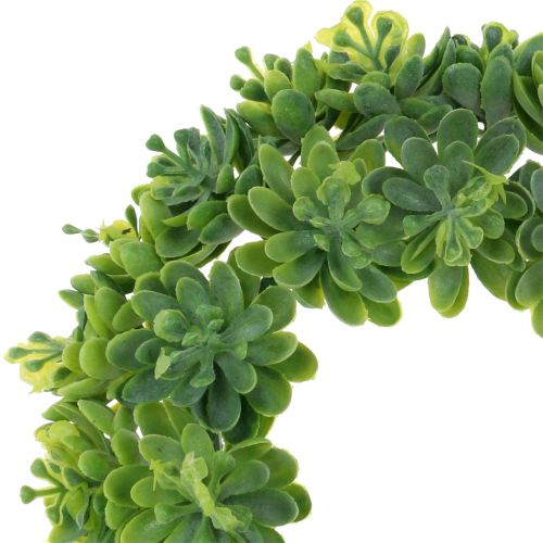Floristik24 Couronne Echeveria verte Ø18cm 4pcs
