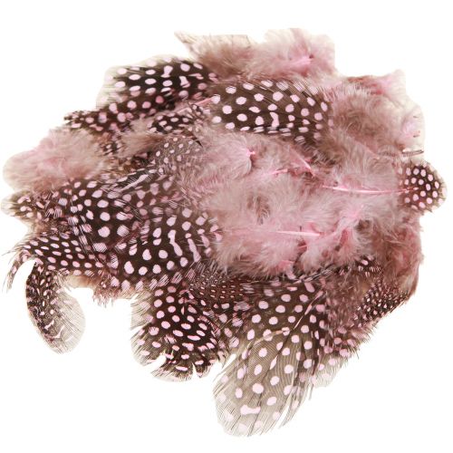 Article Véritables plumes de pintade roses à pois 4-12cm 100 pièces